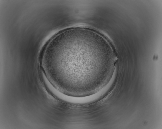 X0000092001414200709271458