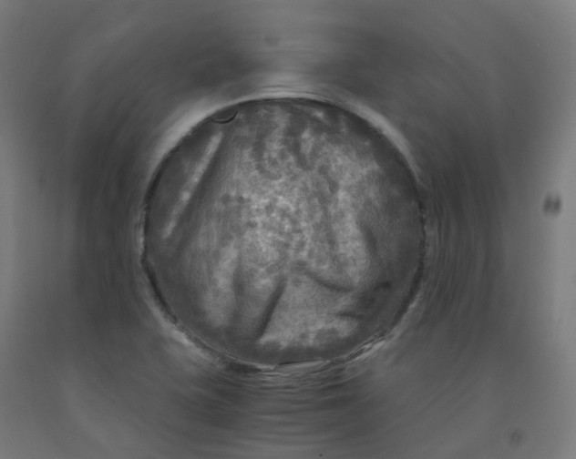 X0000092001415200709271458