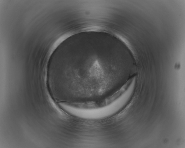 X0000092001418200709271458