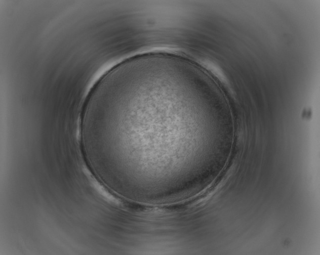 X0000092001420200709271458