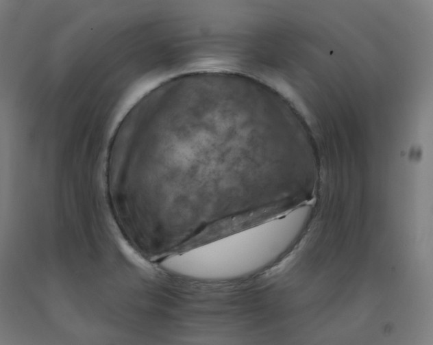 X0000092001421200709271458