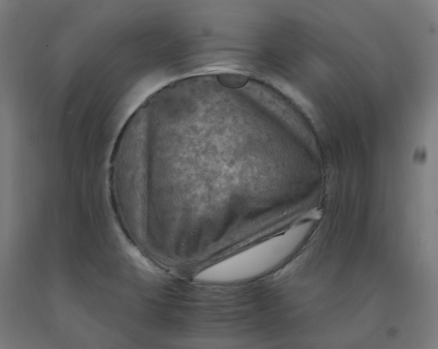 X0000092001423200709271458