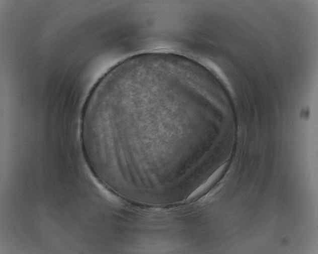 X0000092001424200709271459