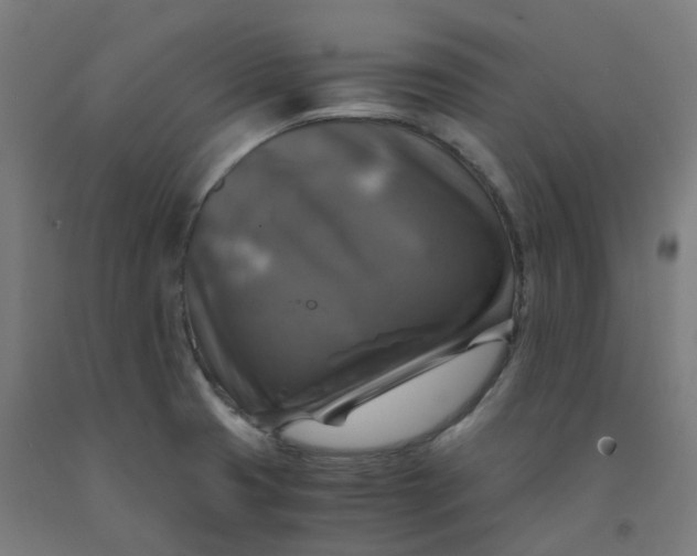 X0000092001425200709271459