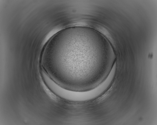 X0000092001426200709271459