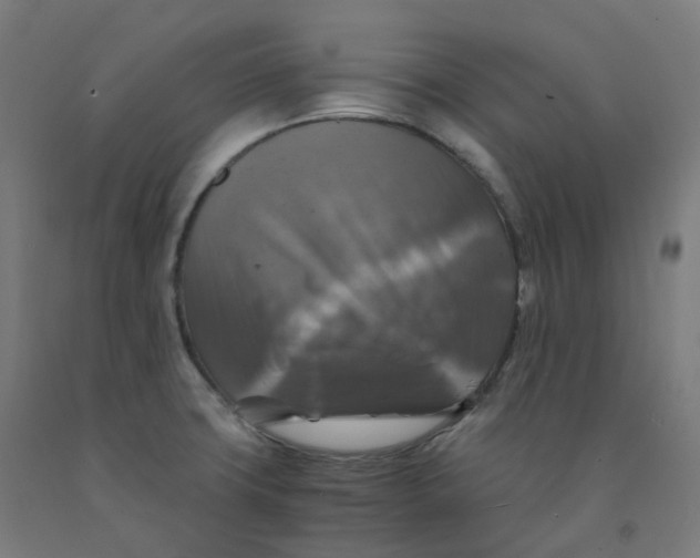 X0000092001427200709271459