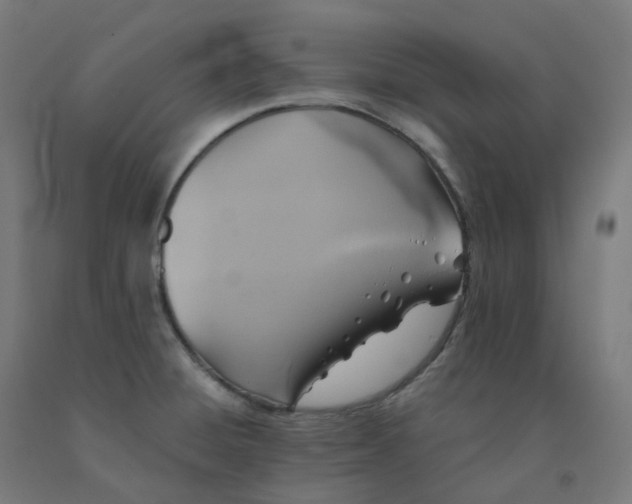 X0000092001428200709271459