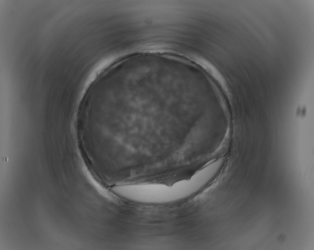 X0000092001429200709271459