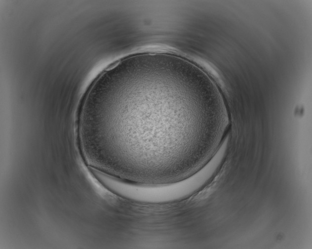 X0000092001430200709271459