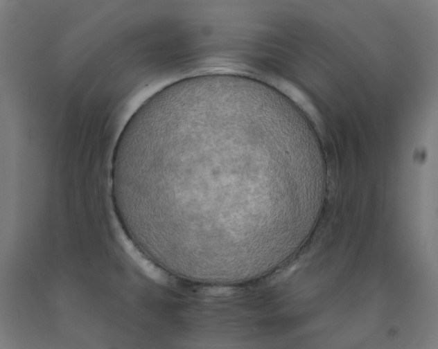 X0000092001431200709271459