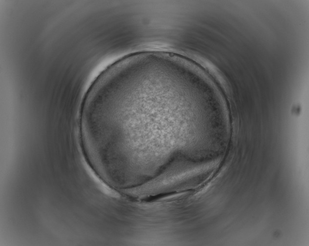 X0000092001432200709271459