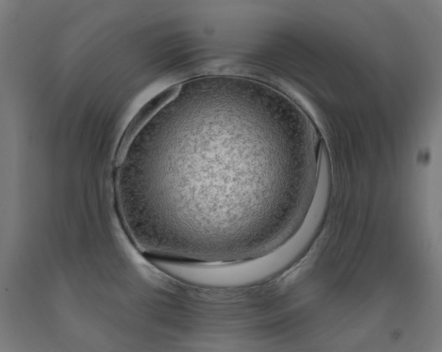 X0000092001434200709271459