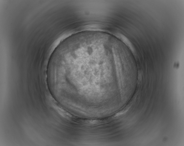 X0000092001435200709271459