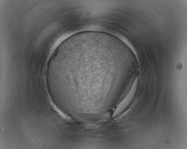 X0000092001437200709271459