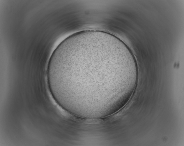 X0000092001440200709271459