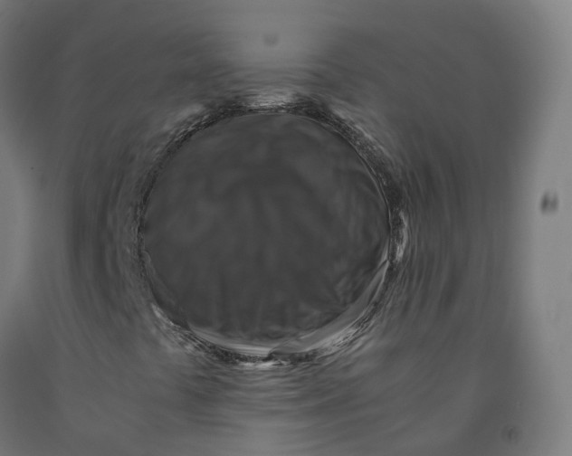 X0000092001441200709271458