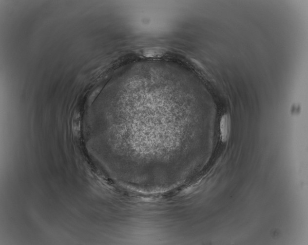 X0000092001443200709271458