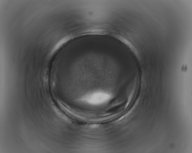 X0000092001450200709271458