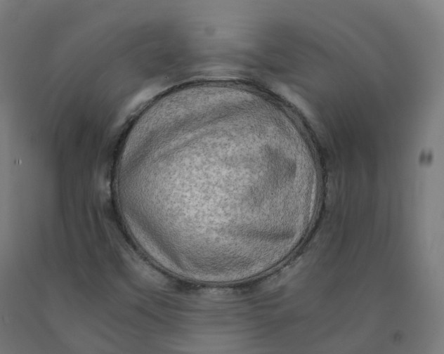 X0000092001451200709271458