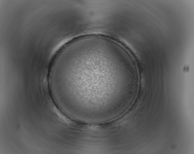 X0000092001452200709271458