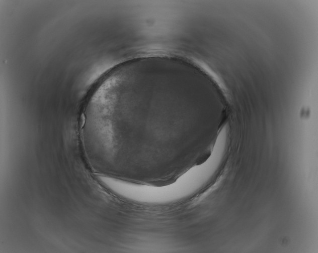 X0000092001453200709271458