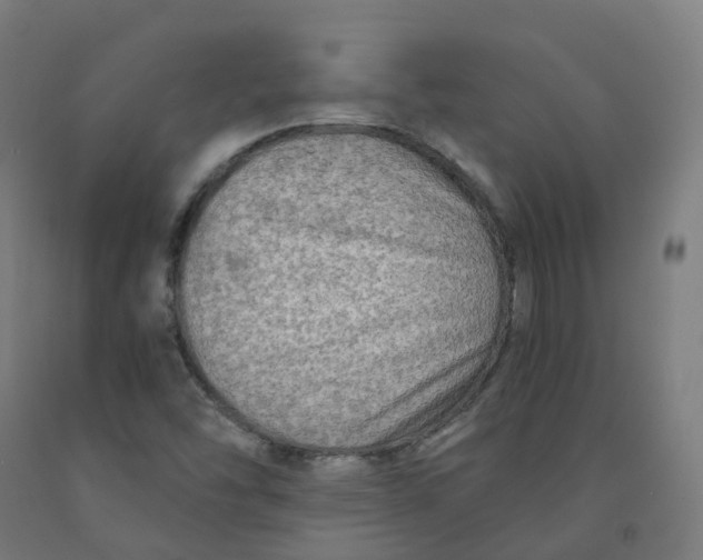 X0000092001454200709271458