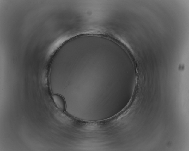 X0000092001455200709271458