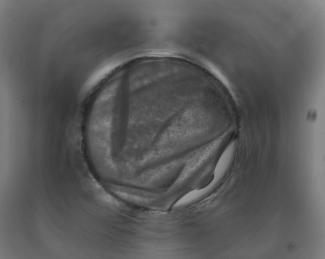 X0000092001456200709271458