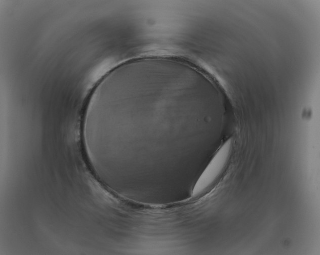 X0000092001459200709271458