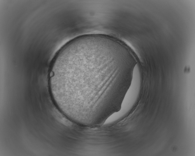 X0000092001460200709271458