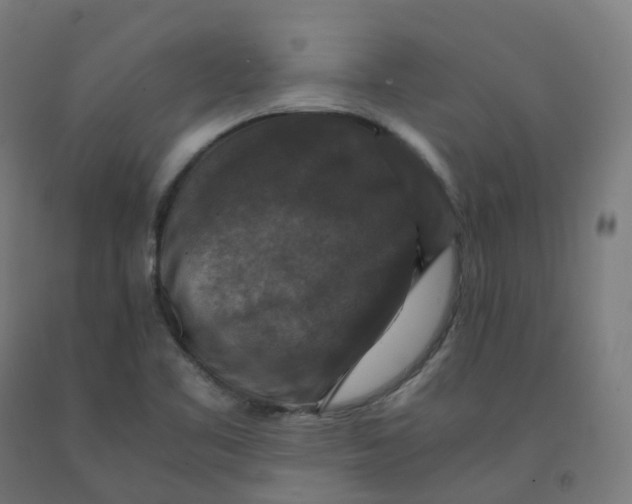 X0000092001461200709271458