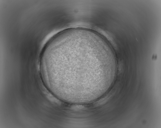 X0000092001462200709271458