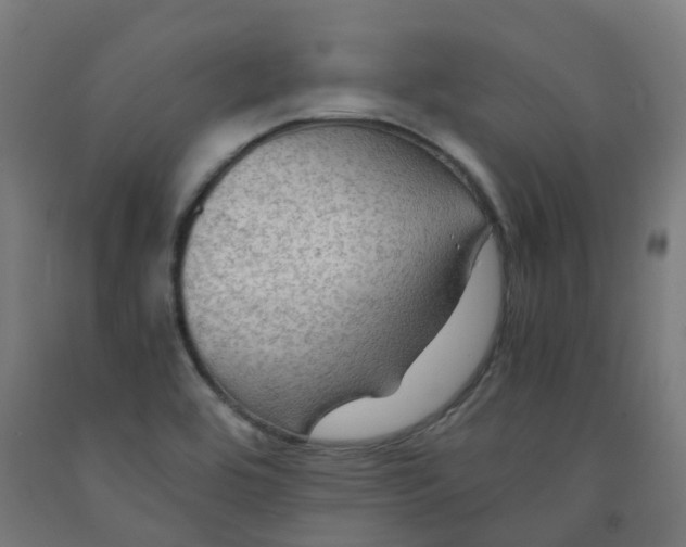 X0000092001464200709271458