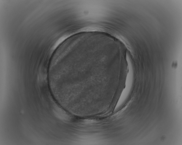 X0000092001465200709271458