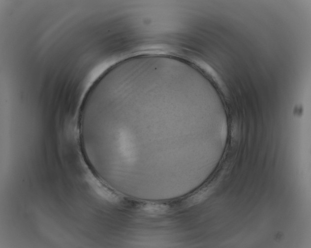 X0000092001466200709271458