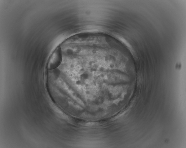 X0000092001467200709271458