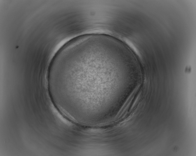 X0000092001468200709271458