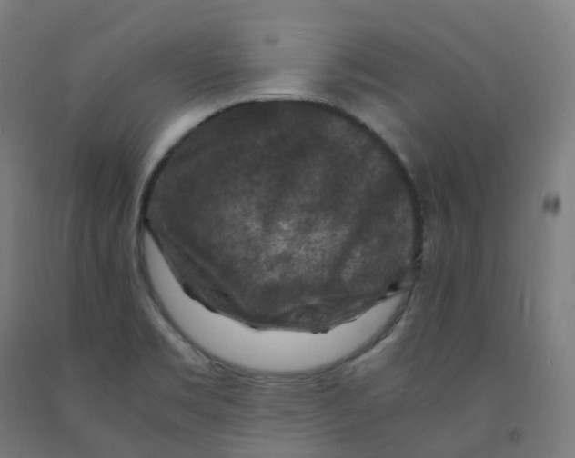 X0000092001469200709271458