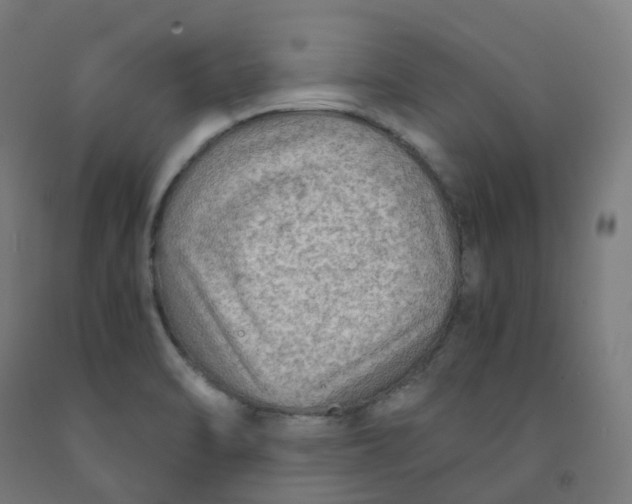 X0000092001470200709271458