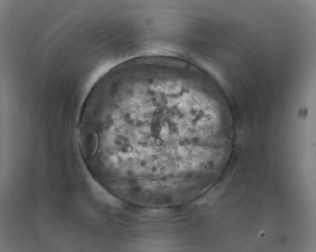 X0000092001471200709271458