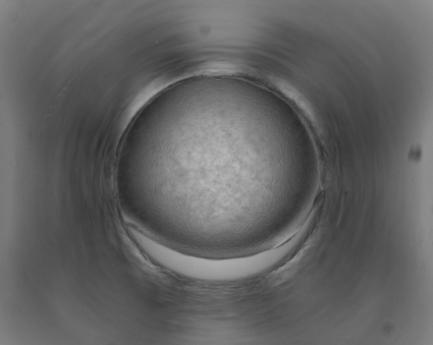 X0000092001473200709271458