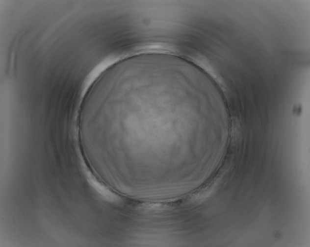 X0000092001474200709271458