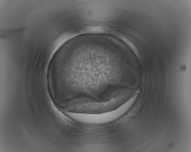 X0000092001475200709271458