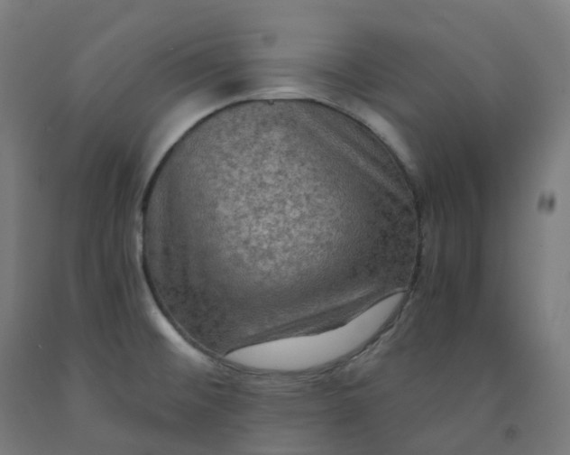 X0000092001476200709271457