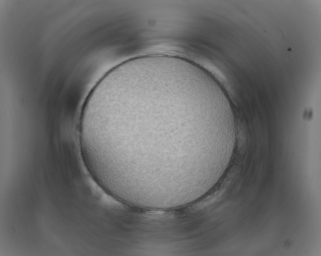 X0000092001478200709271457