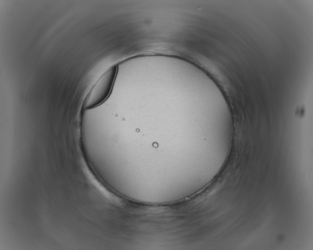 X0000092001479200709271457