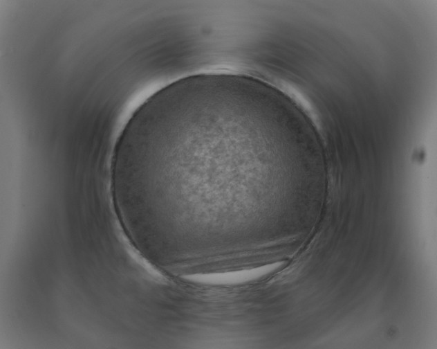 X0000092001480200709271457