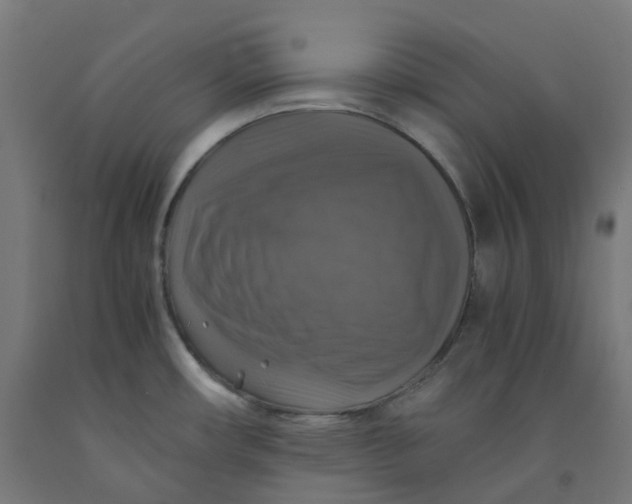 X0000092001482200709271457