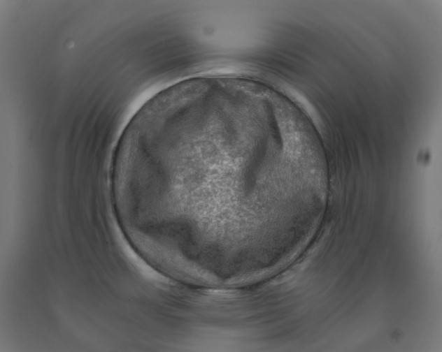 X0000092001483200709271457