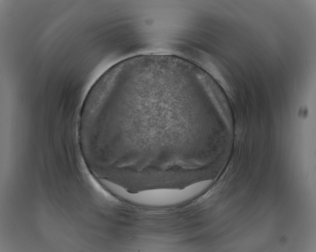 X0000092001484200709271457